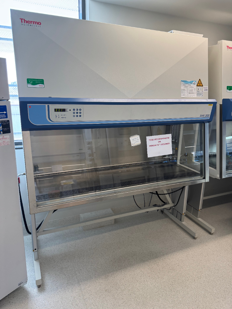 Image of Thermo Safe 2020 6' BioSafety Cabinet